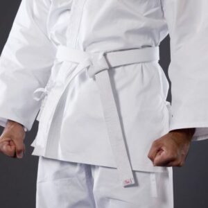 martial arts classes in selinsgrove pa